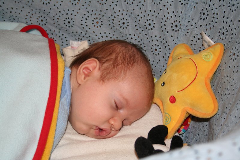 IMG_4742.JPG - Śpioszek